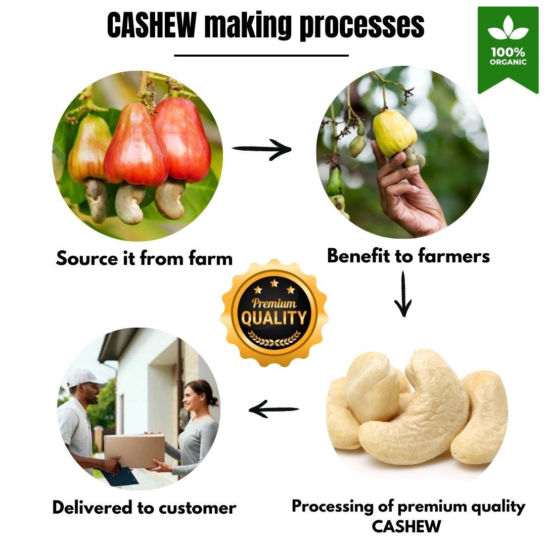 cashews in india